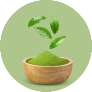 Herbal Powder - Bhupati Herbals